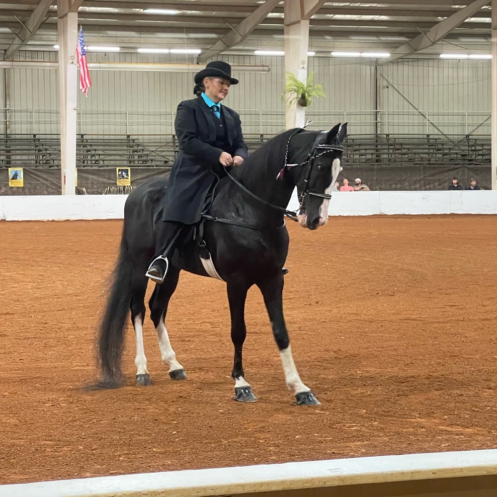 Meet your Posher, Melissa